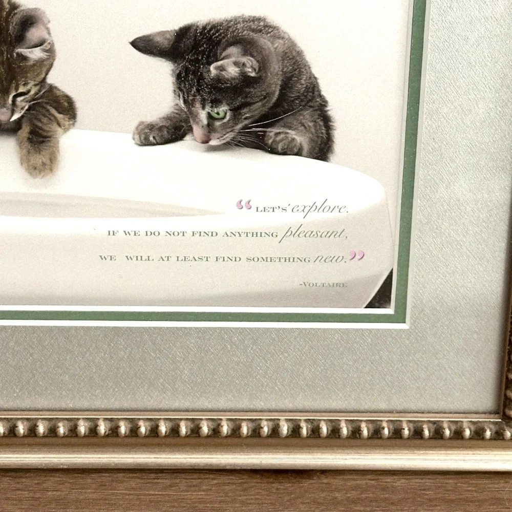 Let’s Explore…Find Something New Cat Print Kitty Voltaire Quote Framed Wall Art